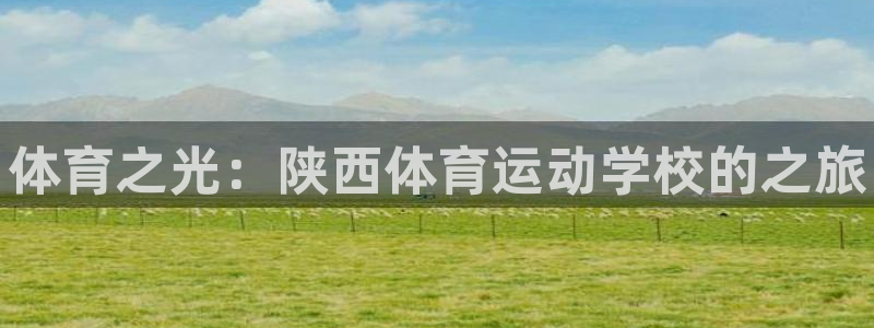 yy易游官网下载：体育之光：陕西体育运动学校的之旅