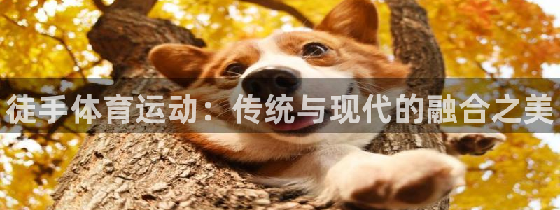yy易游官方正版app娱乐40996：徒手体育运动：