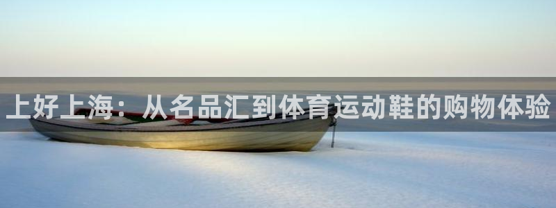 yy易游官方正版app集团logo：上好上海：从名品