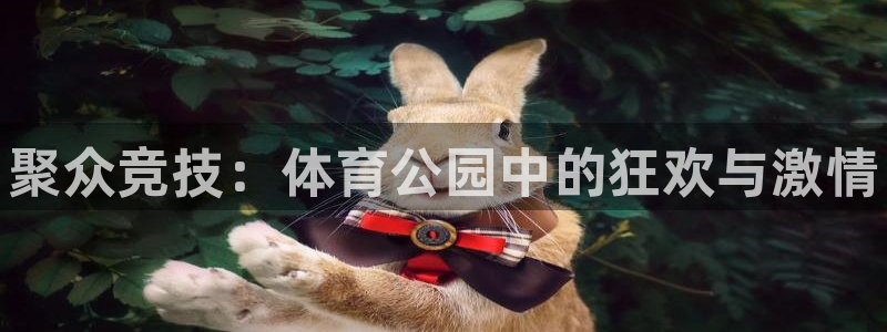 yy易游官方平台体育：聚众竞技：体育公园中的狂欢与激