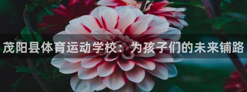 yy易游官方正版app娱乐是那个系列的台子：茂阳县体育运动学