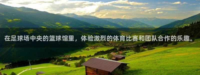 yy易游官网下载招商电话地址查询：在足球场中央的篮球