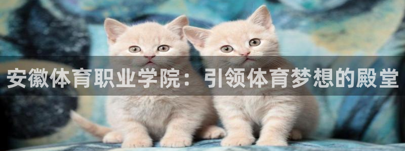 yy易游官方正版app集团官网网址：安徽体育职业学院：引领体
