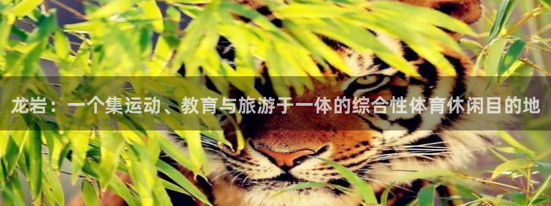 yy易游官方正版app娱乐首页官网下载：龙岩：一个集