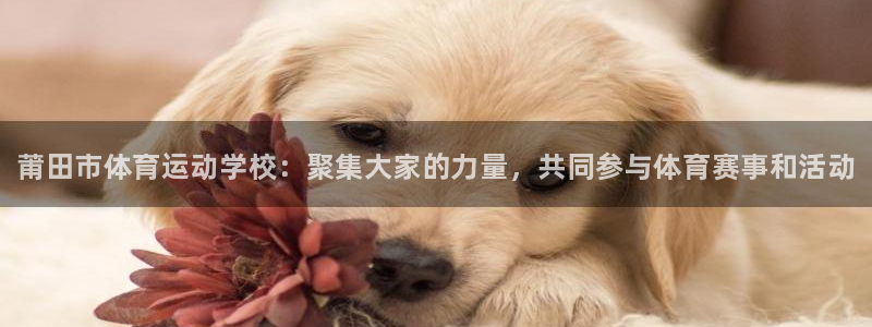 yy易游官网下载平台APP：莆田市体育运动学校：聚集