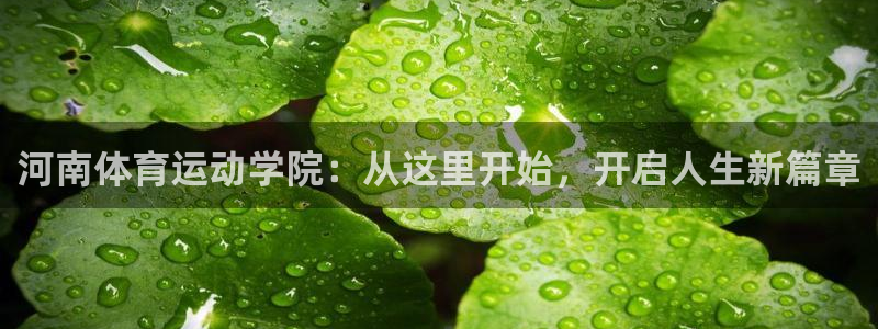 yy易游官方正版app娱乐下载：河南体育运动学院：从这里开始