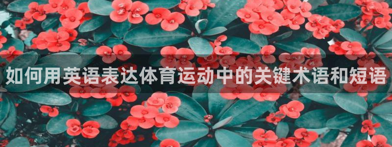 yy易游官网下载注册：如何用英语表达体育运动中的关键术语和短
