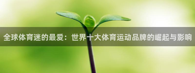 yy易游官网下载平台注册要钱吗：全球体育迷的最爱：世界十大体
