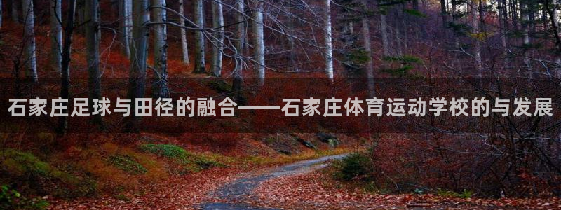 yy易游官网下载平台假的吗是真的吗：石家庄足球与田径的融合—