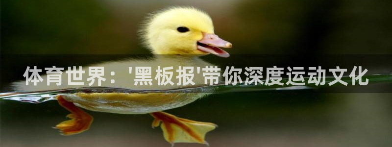 yy易游官网下载平台注册流程视频：体育世界：\'黑板报\'带
