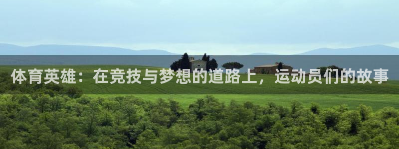 yy易游官方平台体育：体育英雄：在竞技与梦想的道路上，运动员