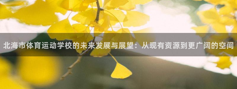 yy易游官方集团官网：北海市体育运动学校的未来发展与