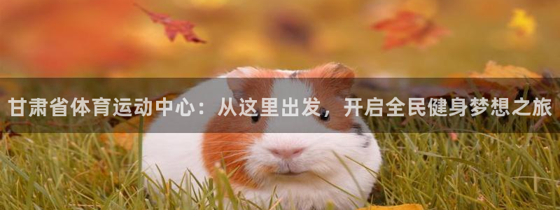 yy易游官网下载平台注册要钱吗：甘肃省体育运动中心：