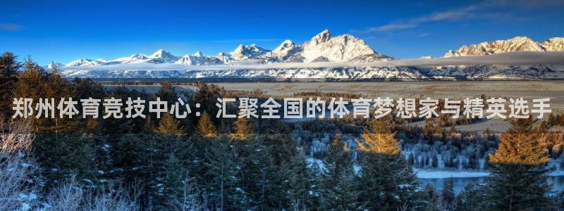 海南yy易游官网下载发展怎么样：郑州体育竞技中心：汇聚全国的