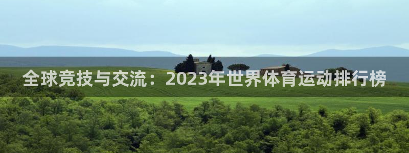 yy易游官方正版app官方：全球竞技与交流：2023