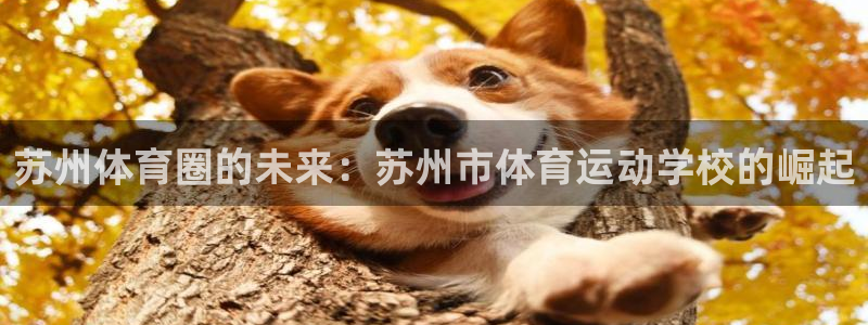 yy易游官方正版app新能源：苏州体育圈的未来：苏州市体育运