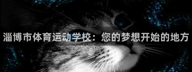 yy易游官方正版app新能源：淄博市体育运动学校：您的梦想开