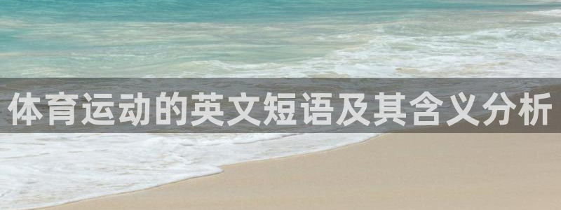 yy易游体育平台