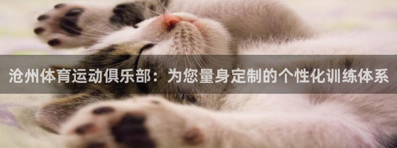 yy易游体育还能撑几年