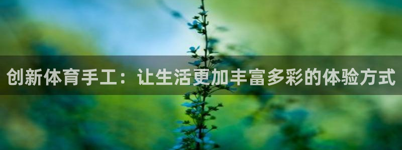yy易游体育平台能提现吗是真的吗：创新体育手工：让生活更加丰