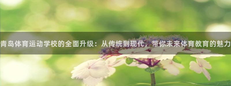 yy易游体育怎么样知乎：青岛体育运动学校的全面升级：从传统到