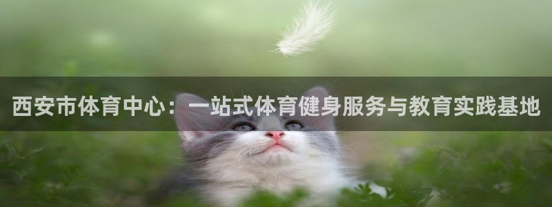 yy易游体育平台能提现吗是真的吗：西安市体育中心：一站式体育