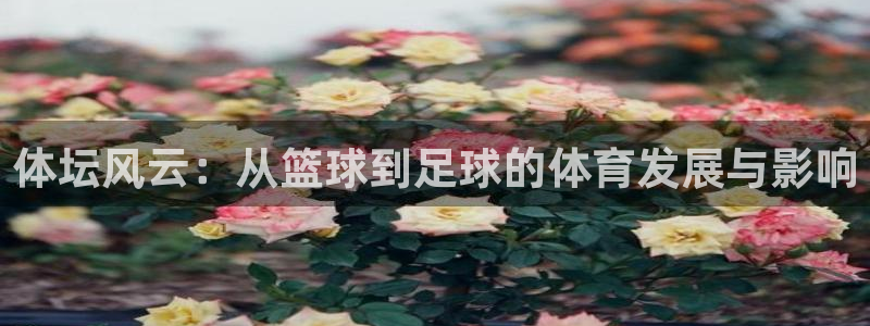  yy易游体育米乐：体坛风云：从篮球到足球的体育发展与影响