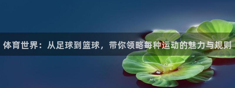 yy易游体育是正规的吗安全吗可靠吗：