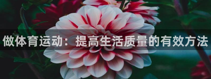  yy易游体育米乐：做体育运动：提高生活质量的有效方法
