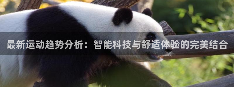  yy易游体育是什么：最新运动趋势分析：智能科技与舒适体验的完