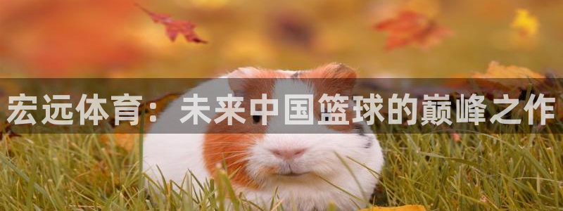 yy易游体育app最新版本更新内容是