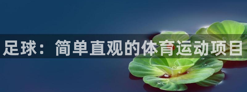 yy易游体育贴吧：足球：简单直观的体