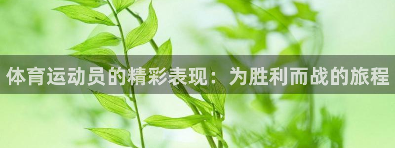  yy易游app最新版本更新内容分享：体育运动员的精彩表现：为