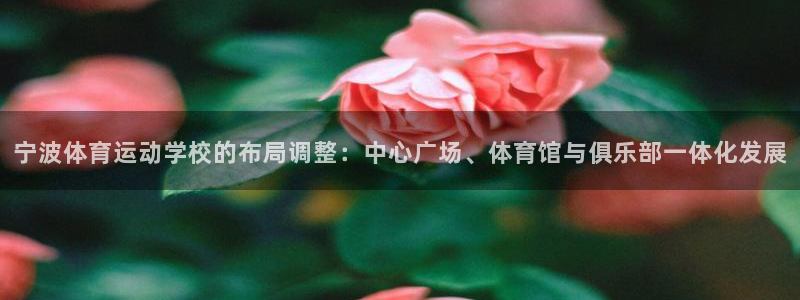  yy易游体育贴吧：宁波体育运动学校的布局调整：中心广场、体育