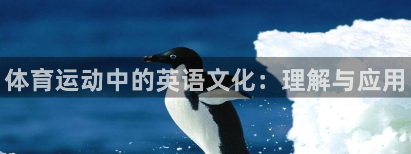  yy易游体育电竞登录不上去怎么办：体育运动中的英语文化：理解