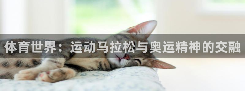 yy易游体育怎么样：体育世界：运动马拉松与奥运精神的交融
