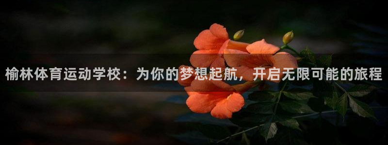 YY易游体育app最新版本更新内容